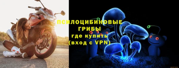 молекула духа Абинск