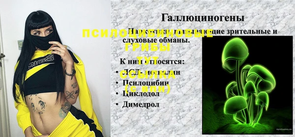 молекула духа Абинск