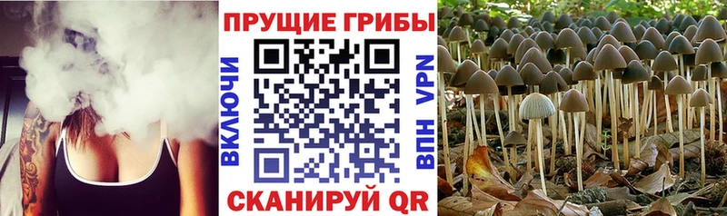 Галлюциногенные грибы GOLDEN TEACHER  Янаул 